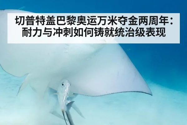 切普特盖巴黎奥运万米夺金两周年:耐力与冲刺如何铸就统治级表现
